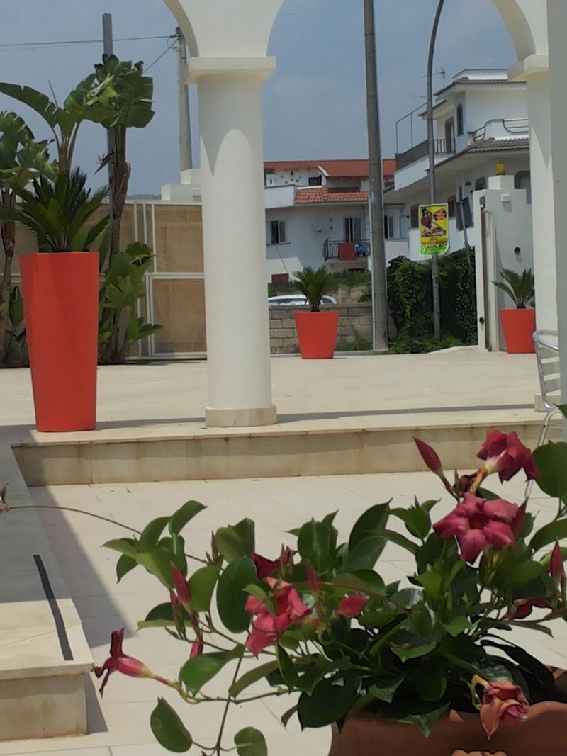 Ionia Hotel Avola