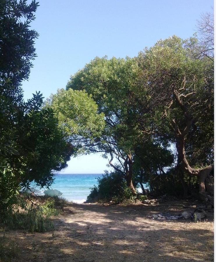 Ionia 3* Avola